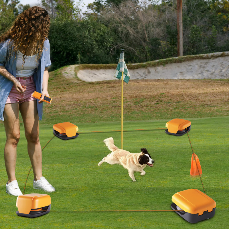 Interactive outdoor dog toys hotsell